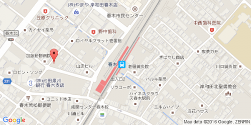 haruki_map